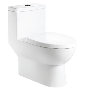 one-piece-dual-flush-floorstand-toilets-model-op-w7025x